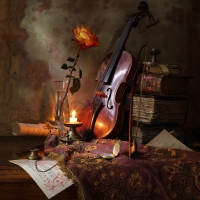 violin18